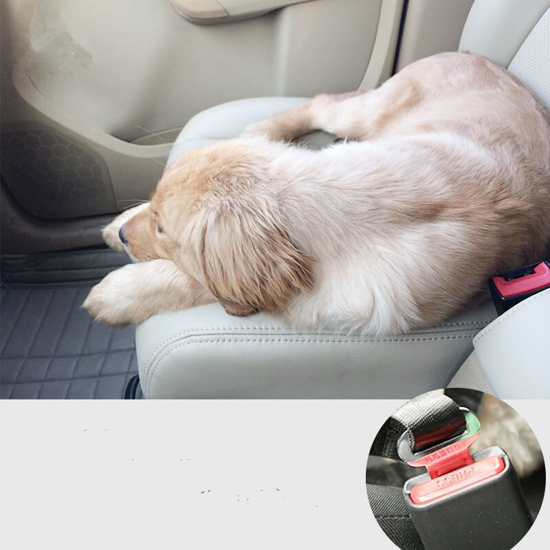 Sicherheitsgurt für Hunde im Auto - Verstellbarer Nylon-Gurt zur